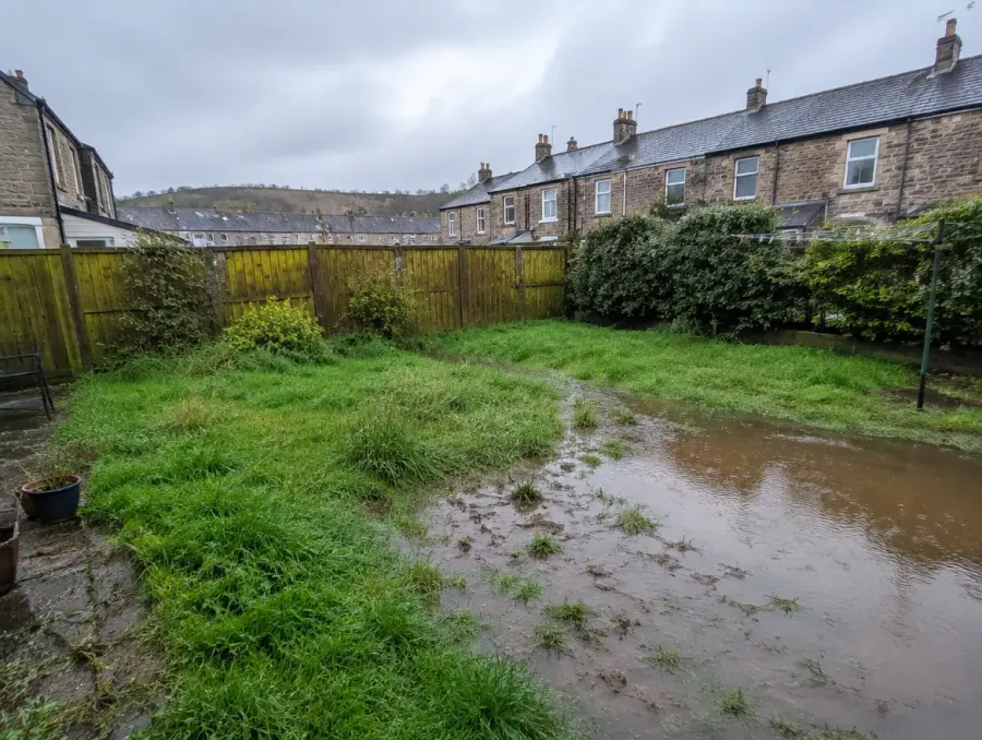 Example of a waterlogged garden before drainage work